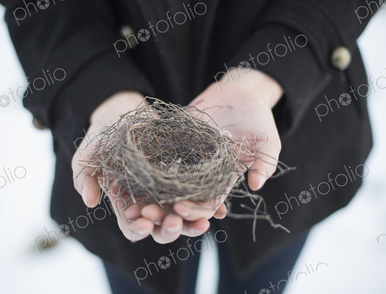 A young woman holding an old bird’s nest in her hands, tightly woven twigs. Winter scene.