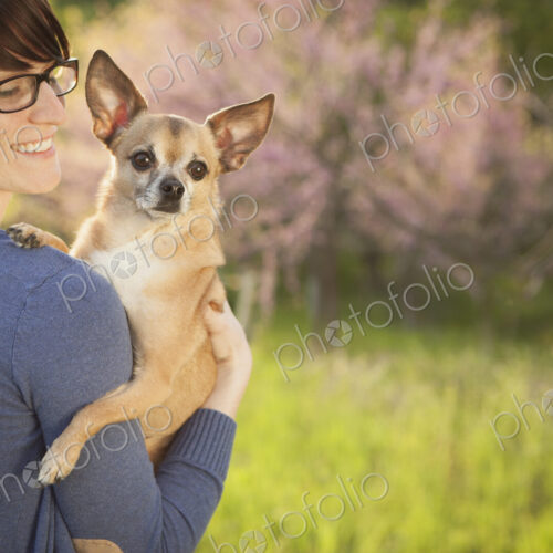 A young woman in a grassy field in spring. Holding a small chihuahua dog in her arms.… A young woman in a grassy field in spring. Holding a small chihuahua dog in her arms.…