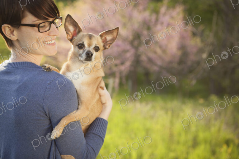 A young woman in a grassy field in spring. Holding a small chihuahua dog in her arms.…