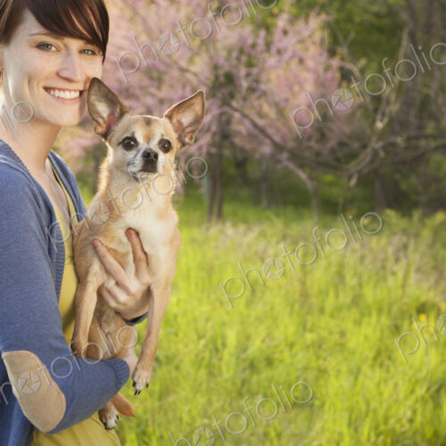 A young woman in a grassy field in spring. Holding a small chihuahua dog in her arms.… A young woman in a grassy field in spring. Holding a small chihuahua dog in her arms.…