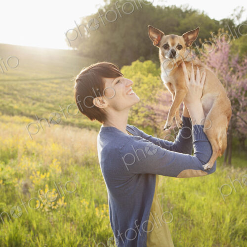 A young woman in a grassy field in spring. Holding a small chihuahua dog in her arms.… A young woman in a grassy field in spring. Holding a small chihuahua dog in her arms.…