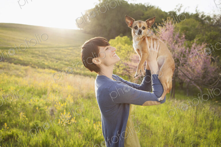A young woman in a grassy field in spring. Holding a small chihuahua dog in her arms.…