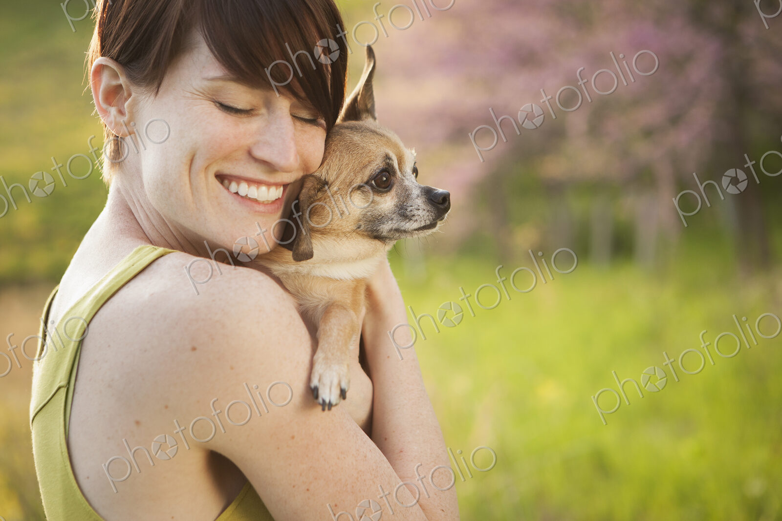 A young woman in a grassy field in spring. Holding a small chihuahua dog in her arms.…