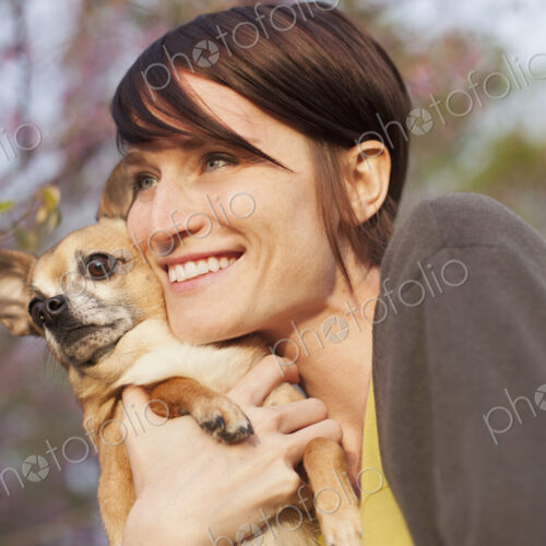 A young woman in a grassy field in spring. Holding a small chihuahua dog in her arms.… A young woman in a grassy field in spring. Holding a small chihuahua dog in her arms.…