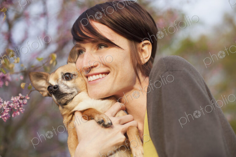 A young woman in a grassy field in spring. Holding a small chihuahua dog in her arms.…