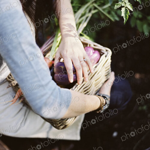 A young woman in a vegetable garden, carrying a basket with freshly harvested organic… A young woman in a vegetable garden, carrying a basket with freshly harvested organic…