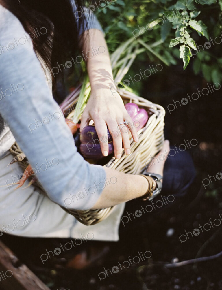 A young woman in a vegetable garden, carrying a basket with freshly harvested organic…