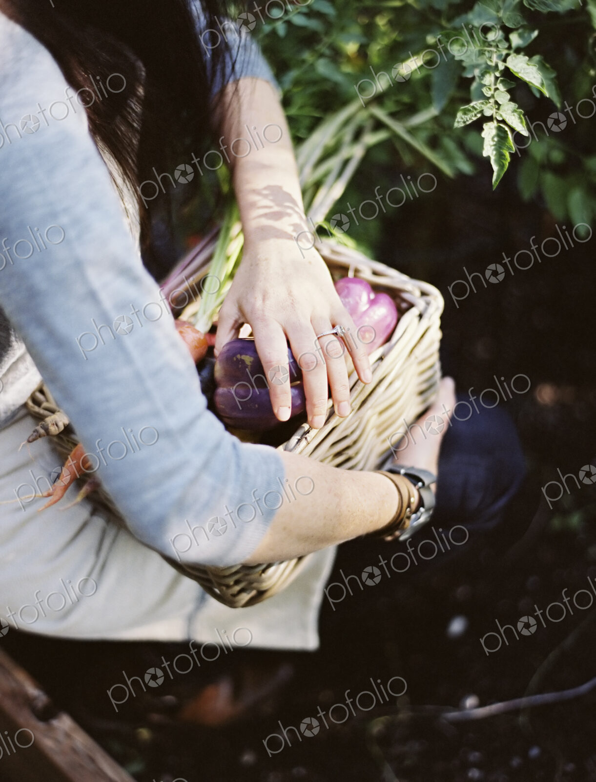 A young woman in a vegetable garden, carrying a basket with freshly harvested organic…