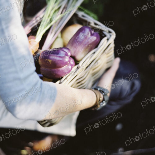 A young woman in a vegetable garden, carrying a basket with freshly harvested organic… A young woman in a vegetable garden, carrying a basket with freshly harvested organic…