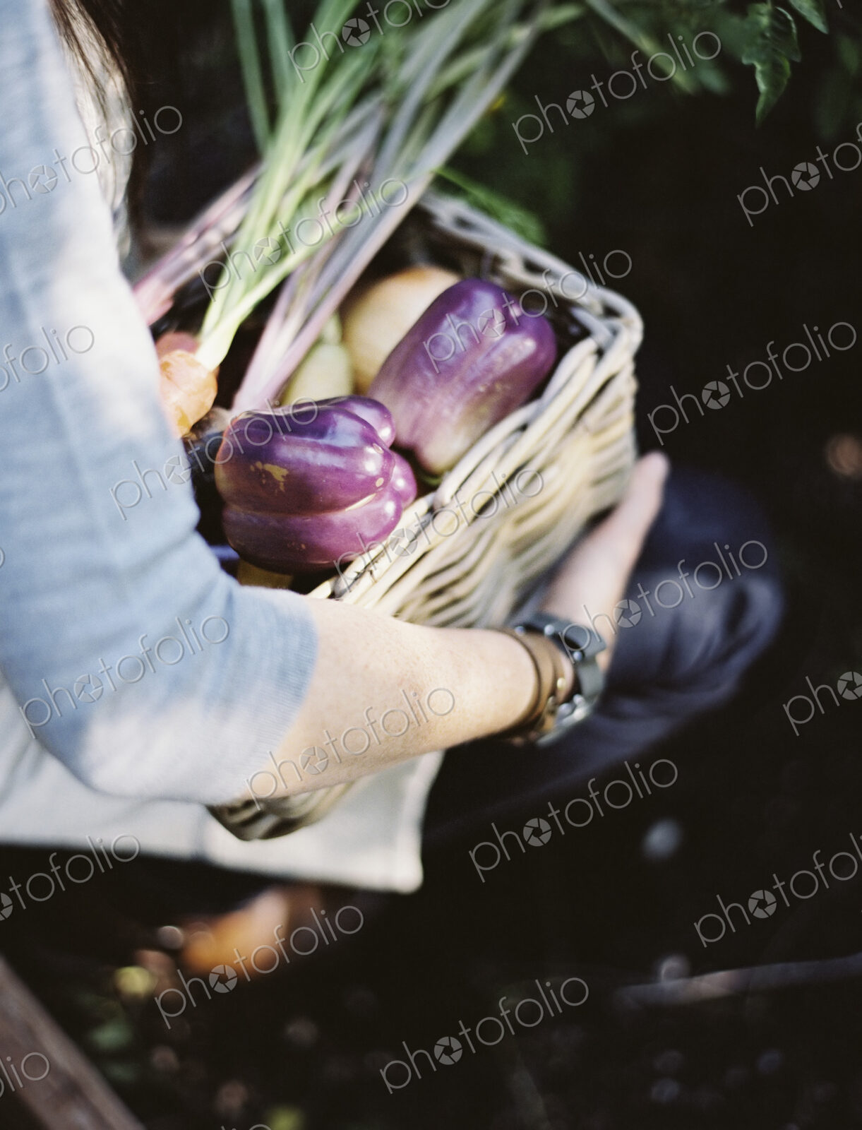 A young woman in a vegetable garden, carrying a basket with freshly harvested organic…