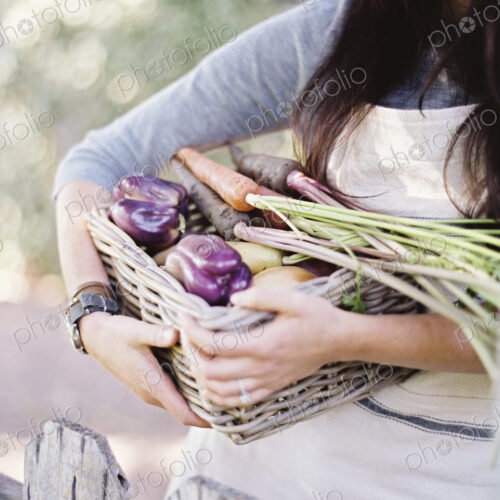 A young woman in a vegetable garden, carrying a basket with freshly harvested organic… A young woman in a vegetable garden, carrying a basket with freshly harvested organic…
