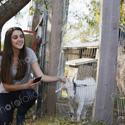 A young woman kneeling down and petting a kid goat through a wire fence. A young woman kneeling down and petting a kid goat through a wire fence.