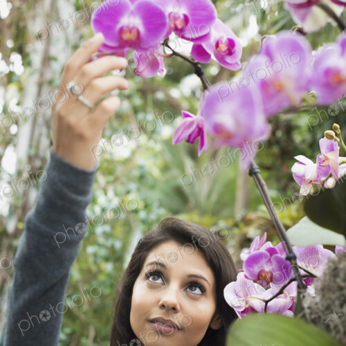 A young woman reaching up to admire an orchid growing in an indoor glasshouse in a… A young woman reaching up to admire an orchid growing in an indoor glasshouse in a…