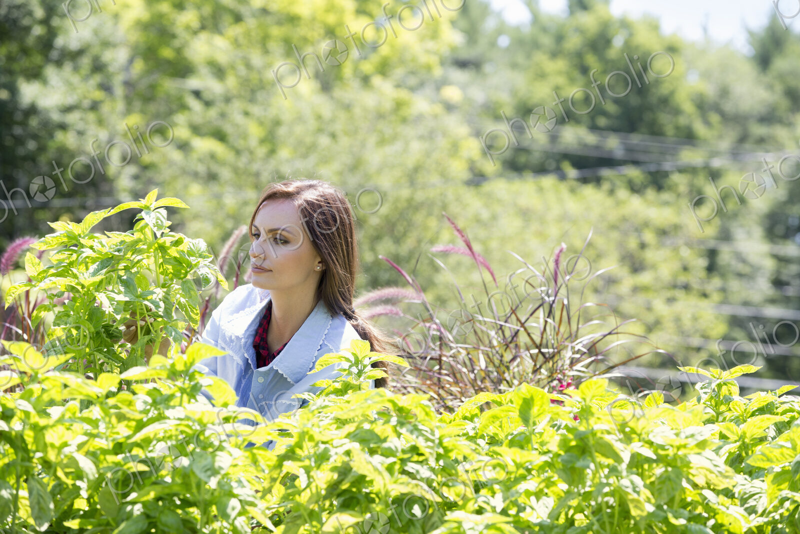 A young woman standing in a garden surrounded by growing shrubs.