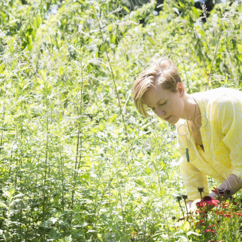 A young woman standing in flower beds, surrounded by plants and picking flowers.