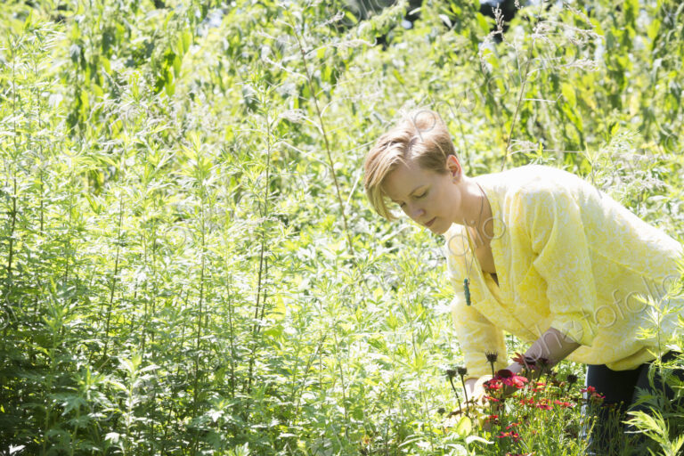 A young woman standing in flower beds, surrounded by plants and picking flowers.