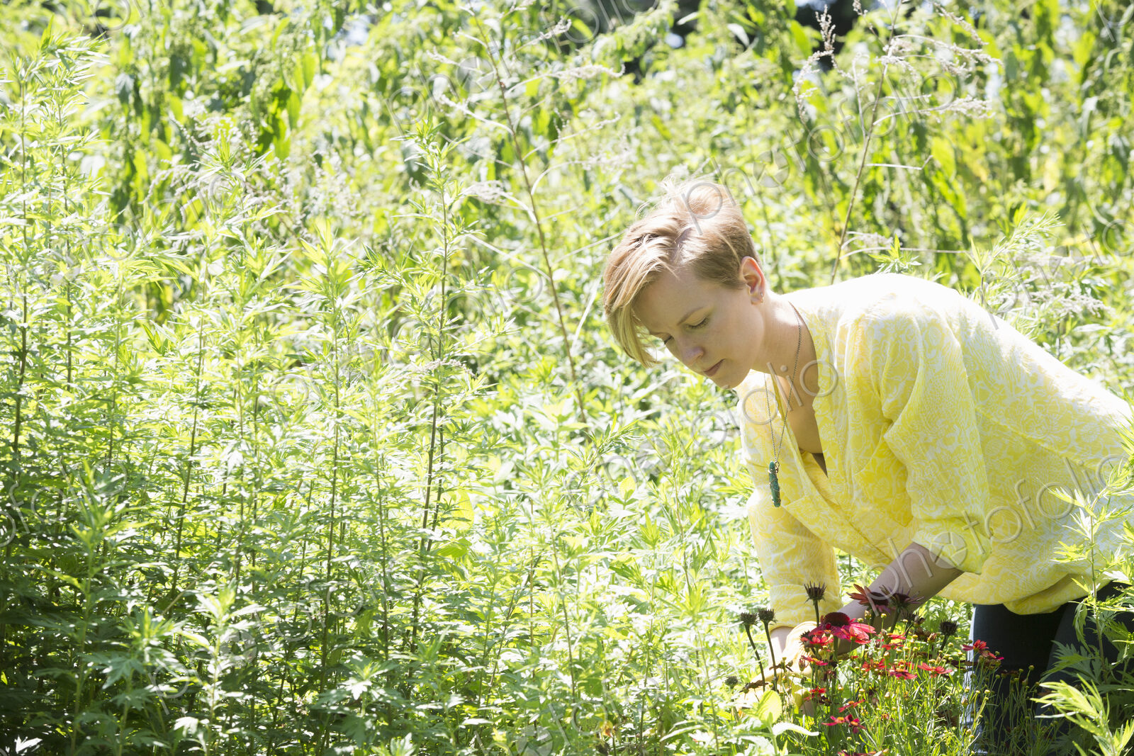 A young woman standing in flower beds, surrounded by plants and picking flowers.