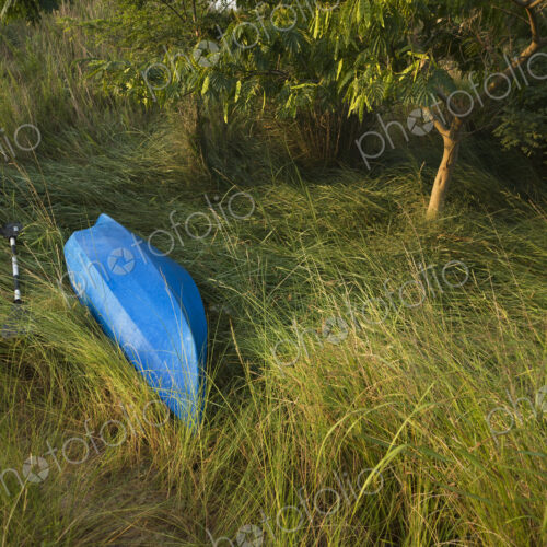 Abandoned Blue Canoe