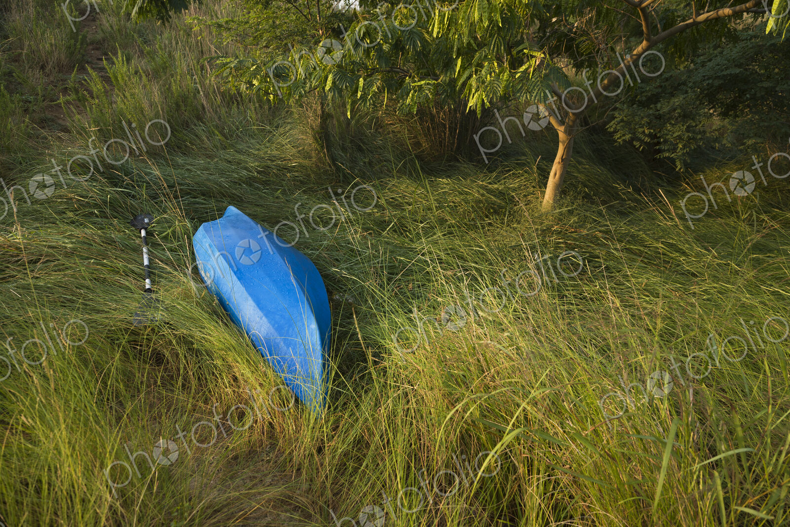 Abandoned Blue Canoe