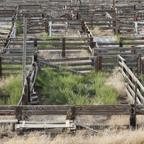 Abandoned stockyard