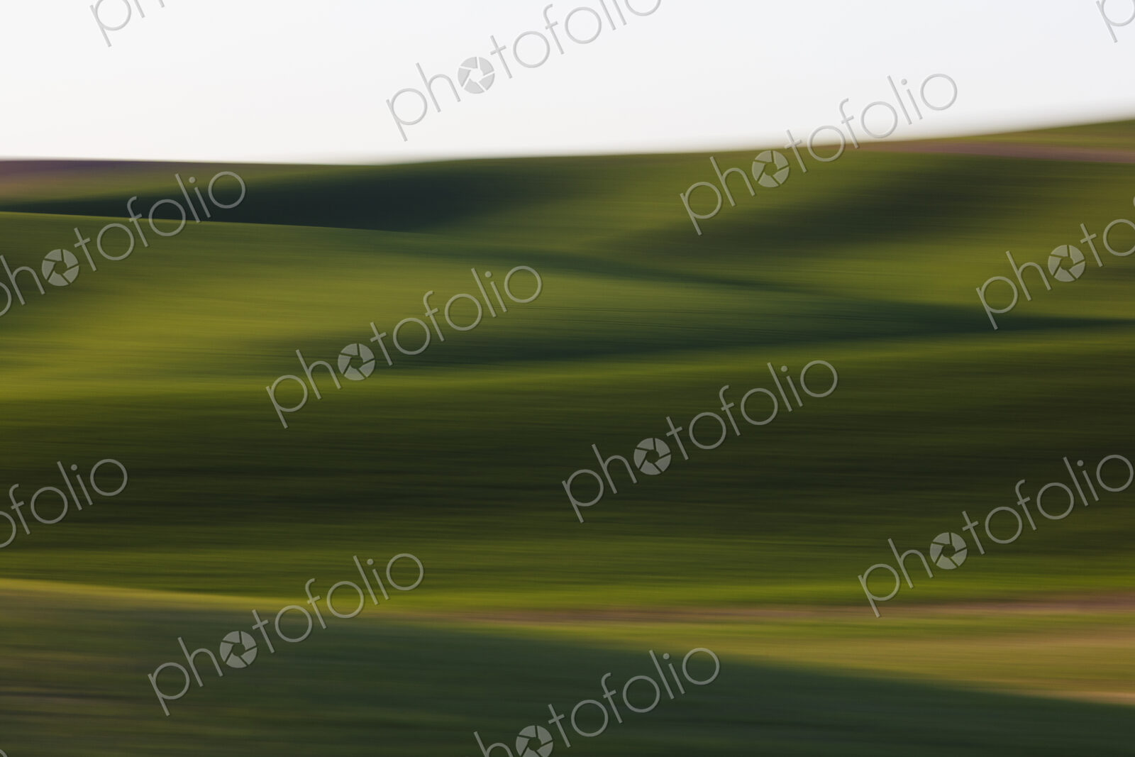 Abstract of Spring wheat grass and rolling hills, dusk