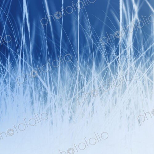 Abstract of field of beach grasses, blue and silver tone