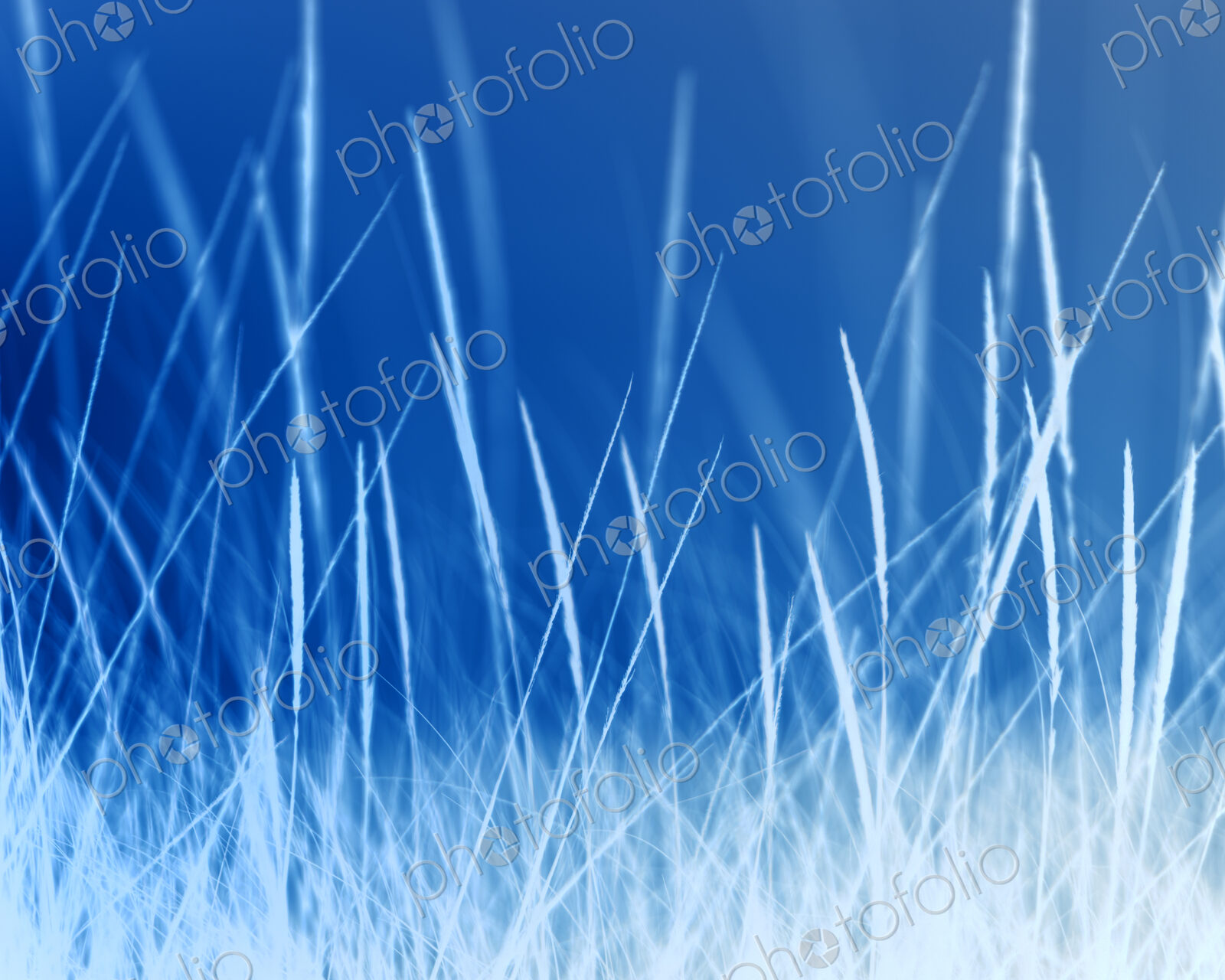 Abstract of field of beach grasses, blue and silver tone