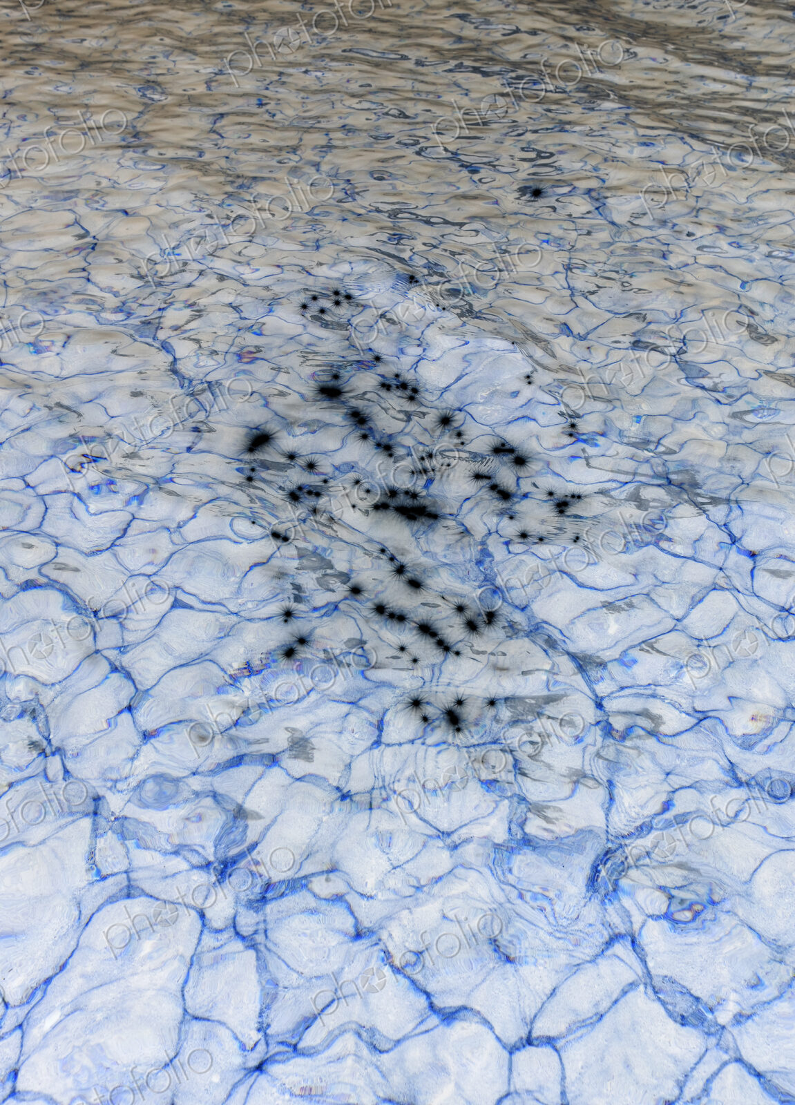 Abstract of lake water reflections and ripples, Lake Tahoe, CA, USA