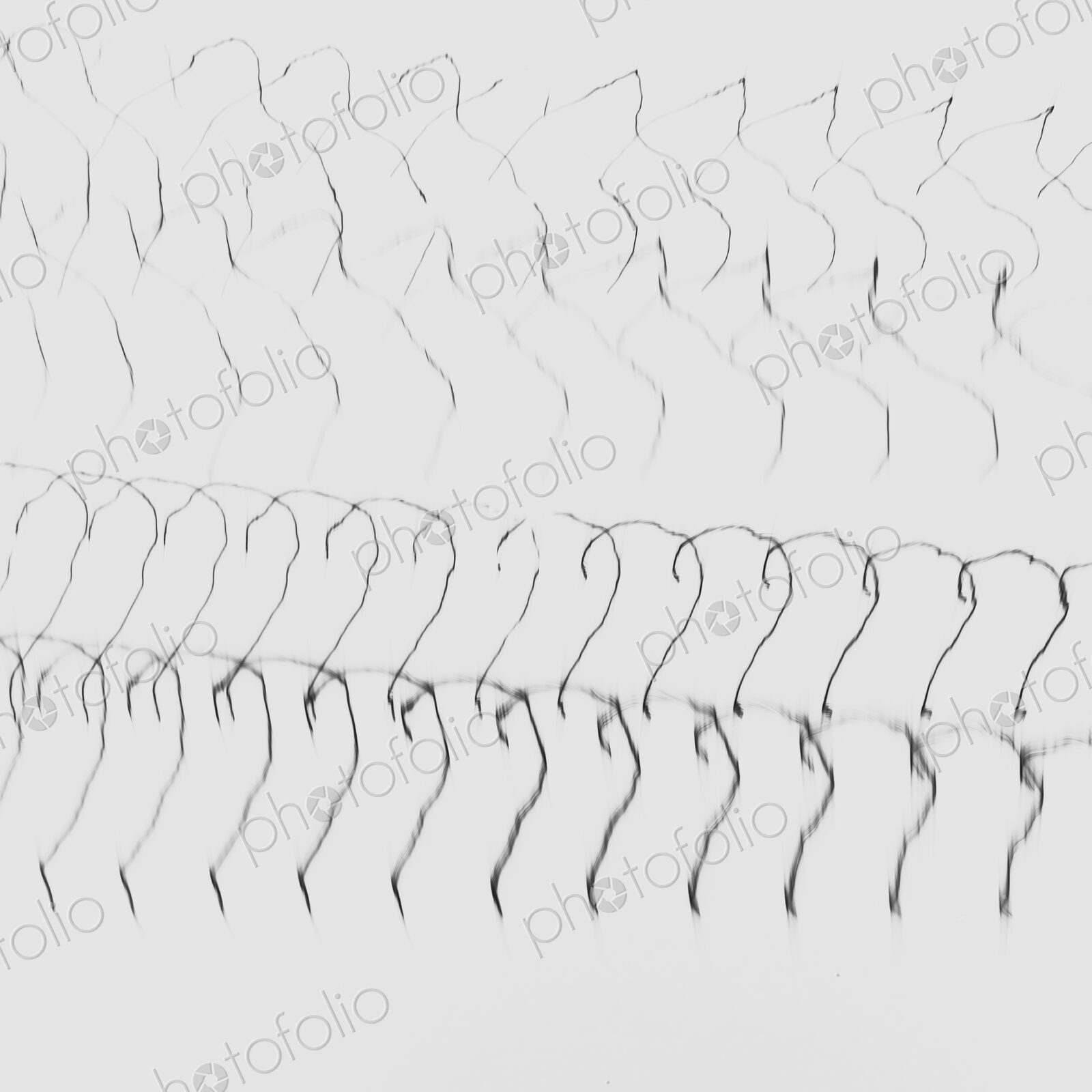 Abstract of metal coiled slinky, length of fine wire wound around and stretched, black…