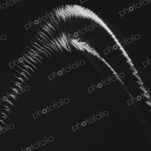 Abstract of metal coiled slinky, length of fine wire wound around and stretched,… Abstract of metal coiled slinky, length of fine wire wound around and stretched,…