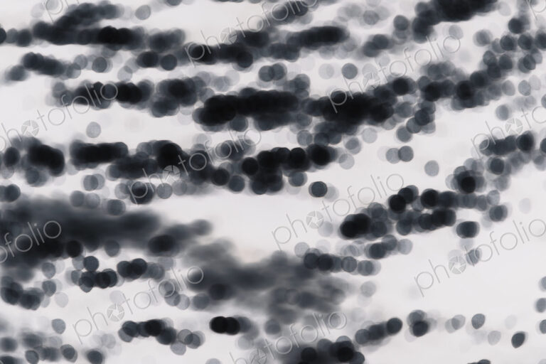 Abstract of sunlight reflecting on ocean water