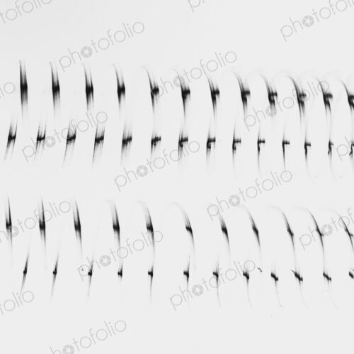 Abstract patternof a length of fine wire wound around and stretched, black and white…