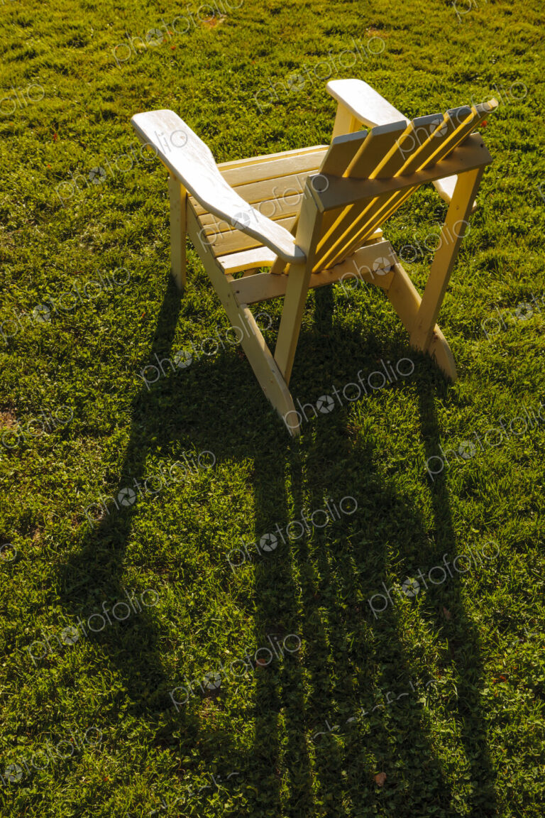 Adrinonak chair in sunlight on lawn, WA, USA