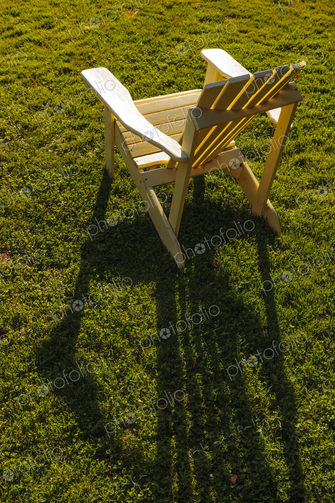 Adrinonak chair in sunlight on lawn, WA, USA