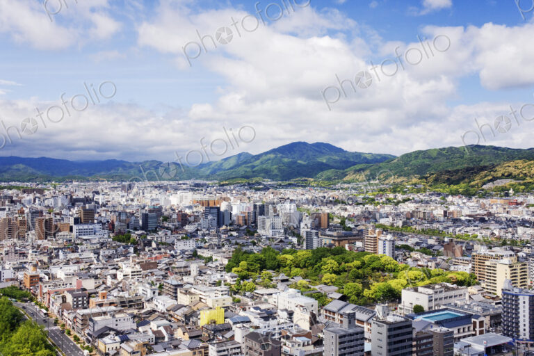 Aerial Japanese Cityscape