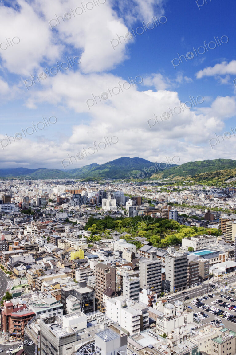 Aerial Japanese Cityscape