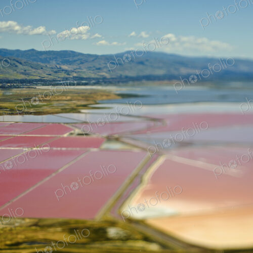 Aerial View of Pink Farm Fields Aerial View of Pink Farm Fields