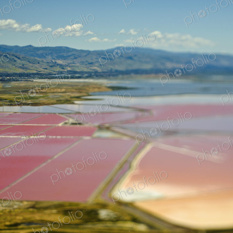 Aerial View of Pink Farm Fields