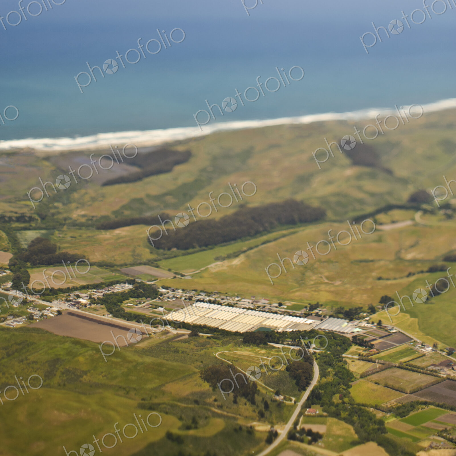 Aerial View of a Coastal Neighborhood