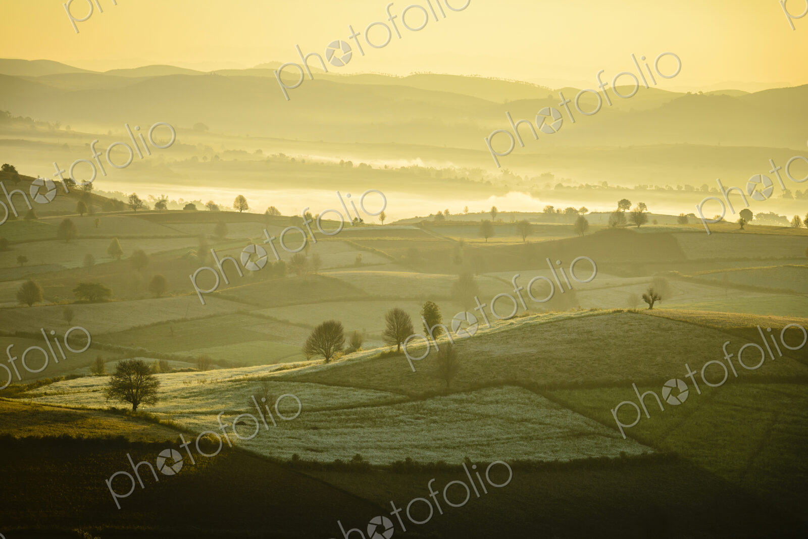 Aerial view of fog in rural farmland, Mandalay, Myanmar