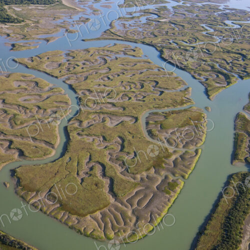 Aerial view of marshland.