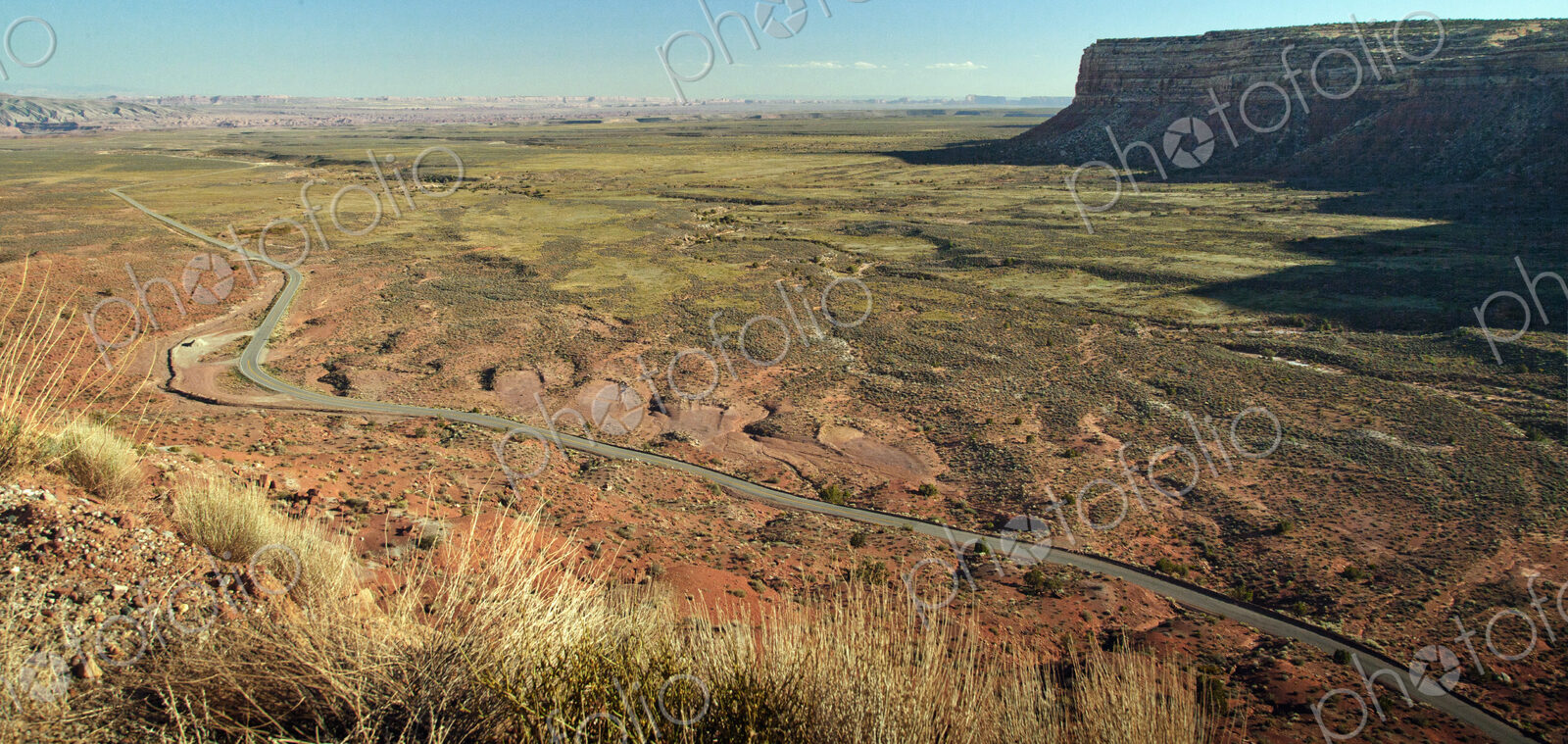 Aerial view of road in Valley of the Gods, Utah, United States