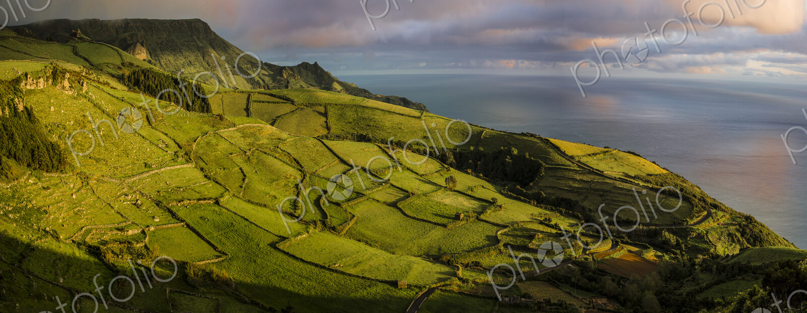Aerial view of rural fields in coastal landscape