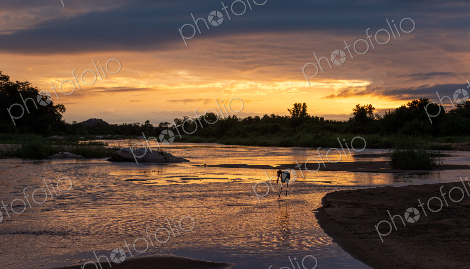 African sunrise over a river, with a silhouette of a stalk.