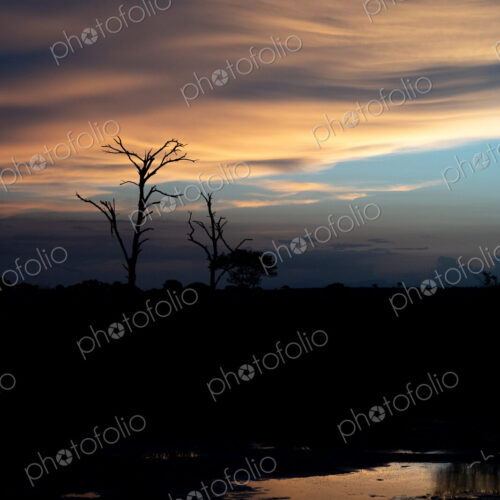 African sunset next to a waterhole. African sunset next to a waterhole.