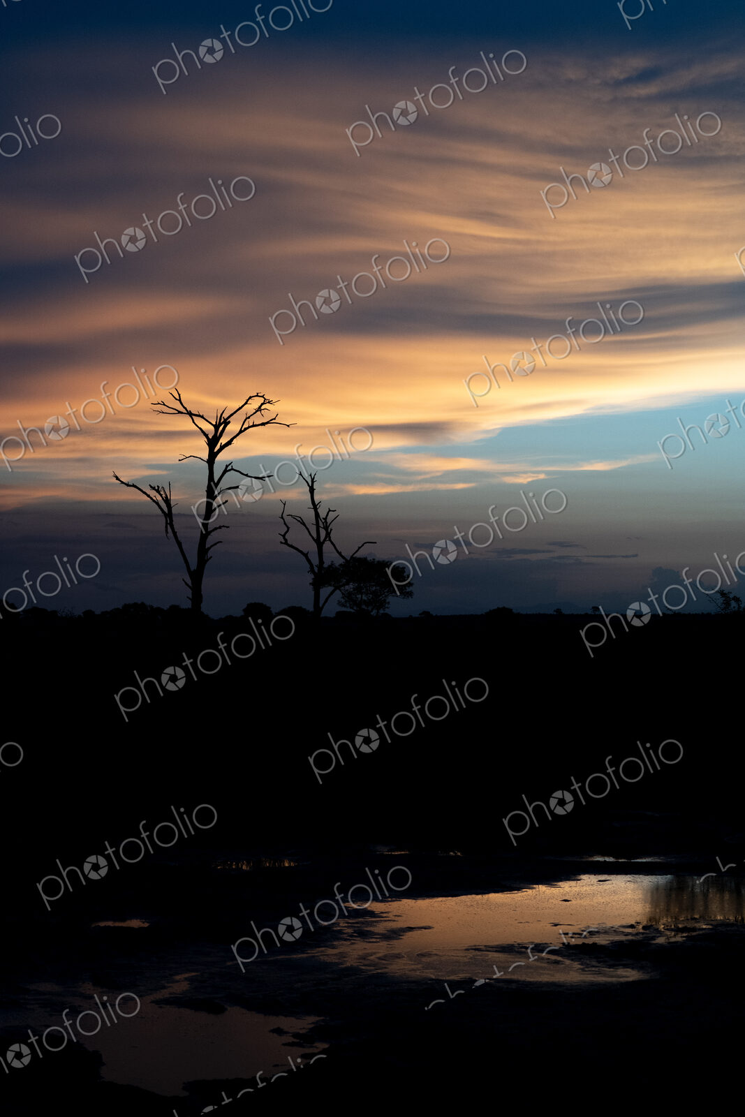 African sunset next to a waterhole.