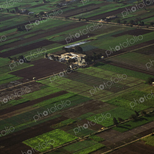 Agricultural Fields in the Nile Valley Agricultural Fields in the Nile Valley
