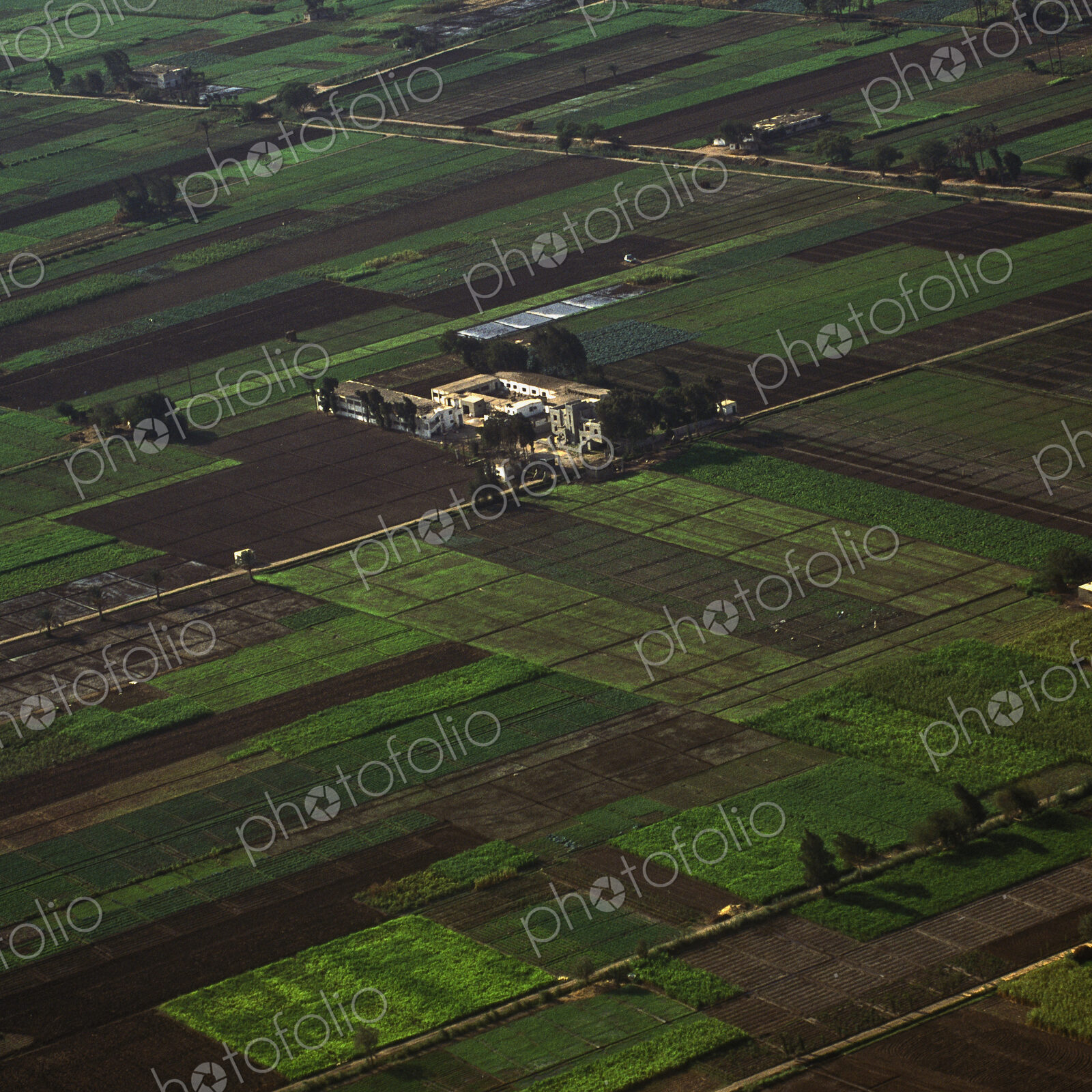 Agricultural Fields in the Nile Valley