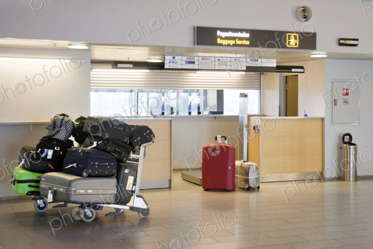 Airport Baggage Area