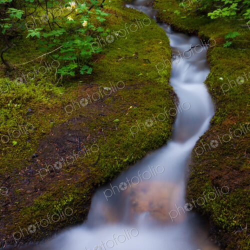 Alpine Stream, a time lapse effect, Jasper National Park, Alberta, Canada Alpine Stream, a time lapse effect, Jasper National Park, Alberta, Canada